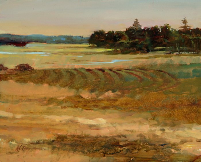 Ipswich Marsh in Yellows