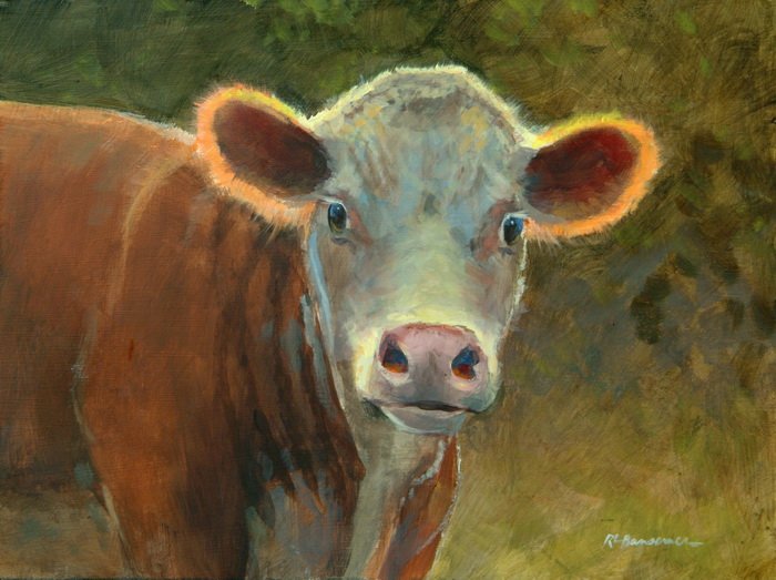 The Dairy Cow